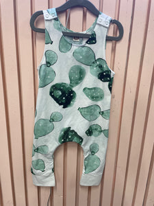 Cactus Jumper