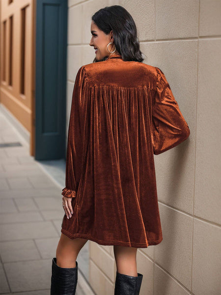 Long Sleeve Autumn and Winter Velvet Dress